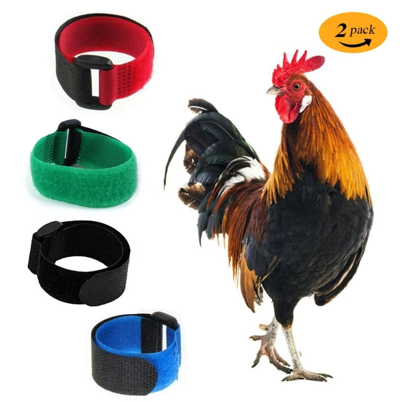 Spot New Pet Supplies 2-piece Anti-hook Cock Collar Without Hook Knot Neck With Christmas Chicken Collar