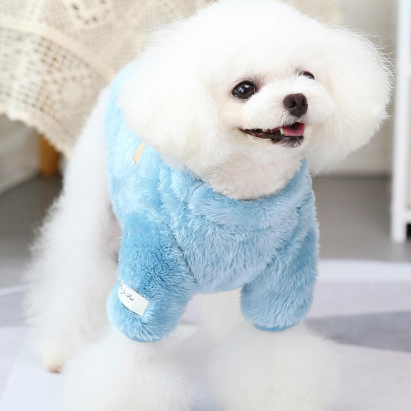 Soft Warm Bear Printed Dog Sweater