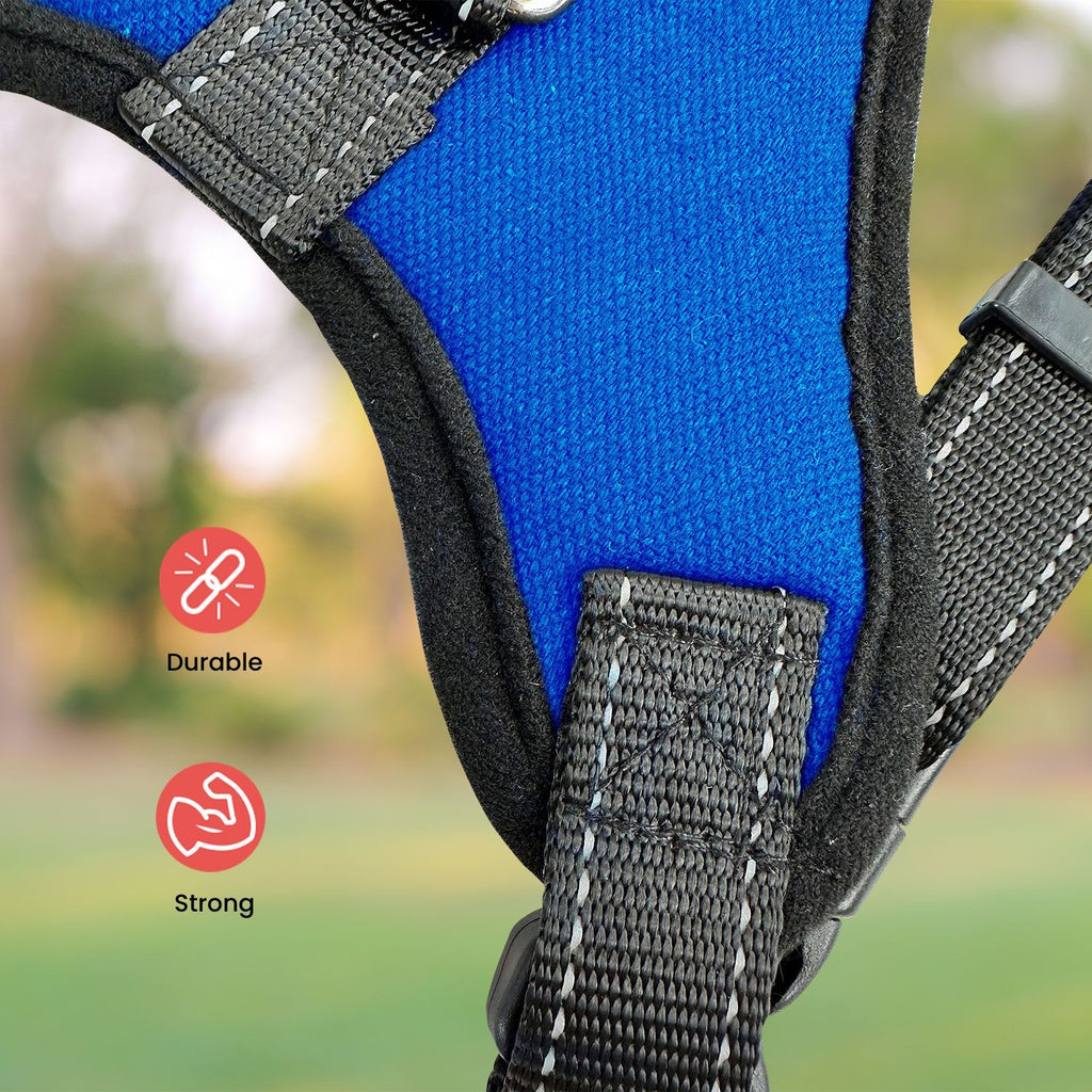 Dog Harnesses