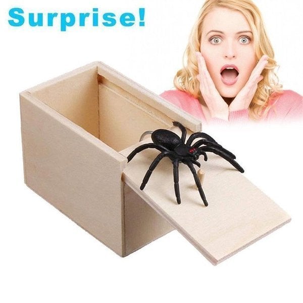 Super Funny Crazy Prank Gift Box Spider Special Gifts for Friends/Family!
