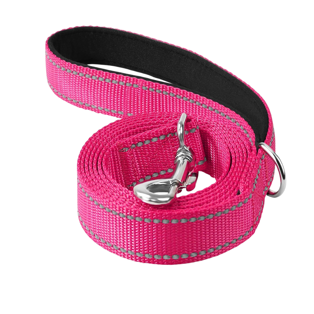 Double Sided Reflective Dog Leash