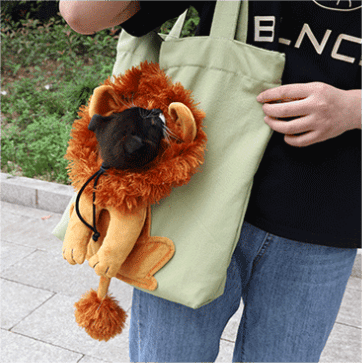 🔥49%-OFF NOW🔥Pet Bag Backpack