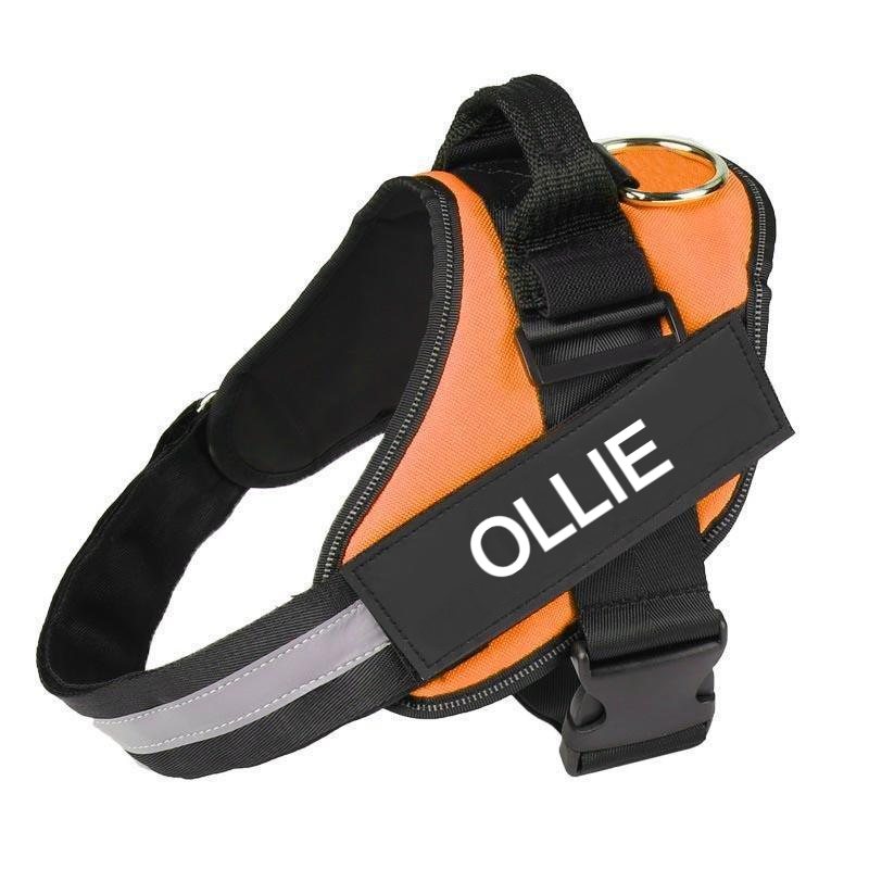 Custom No Pull Dog Harness with Name and Phone Number. Heavy Duty Personalized Pet Vest