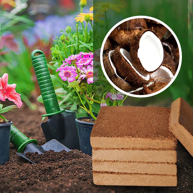 🔥LAST DAY 49% OFF - Organic Coconut Coir for Plants