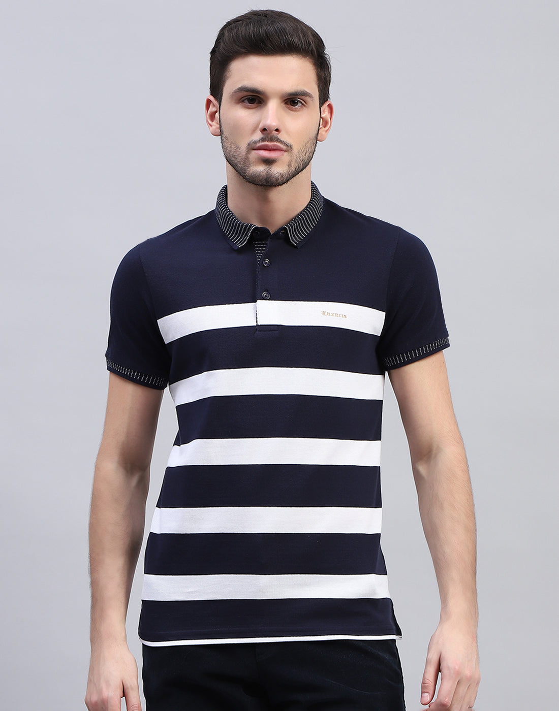 Men Navy Blue Stripe Polo Collar Half Sleeve T-Shirt