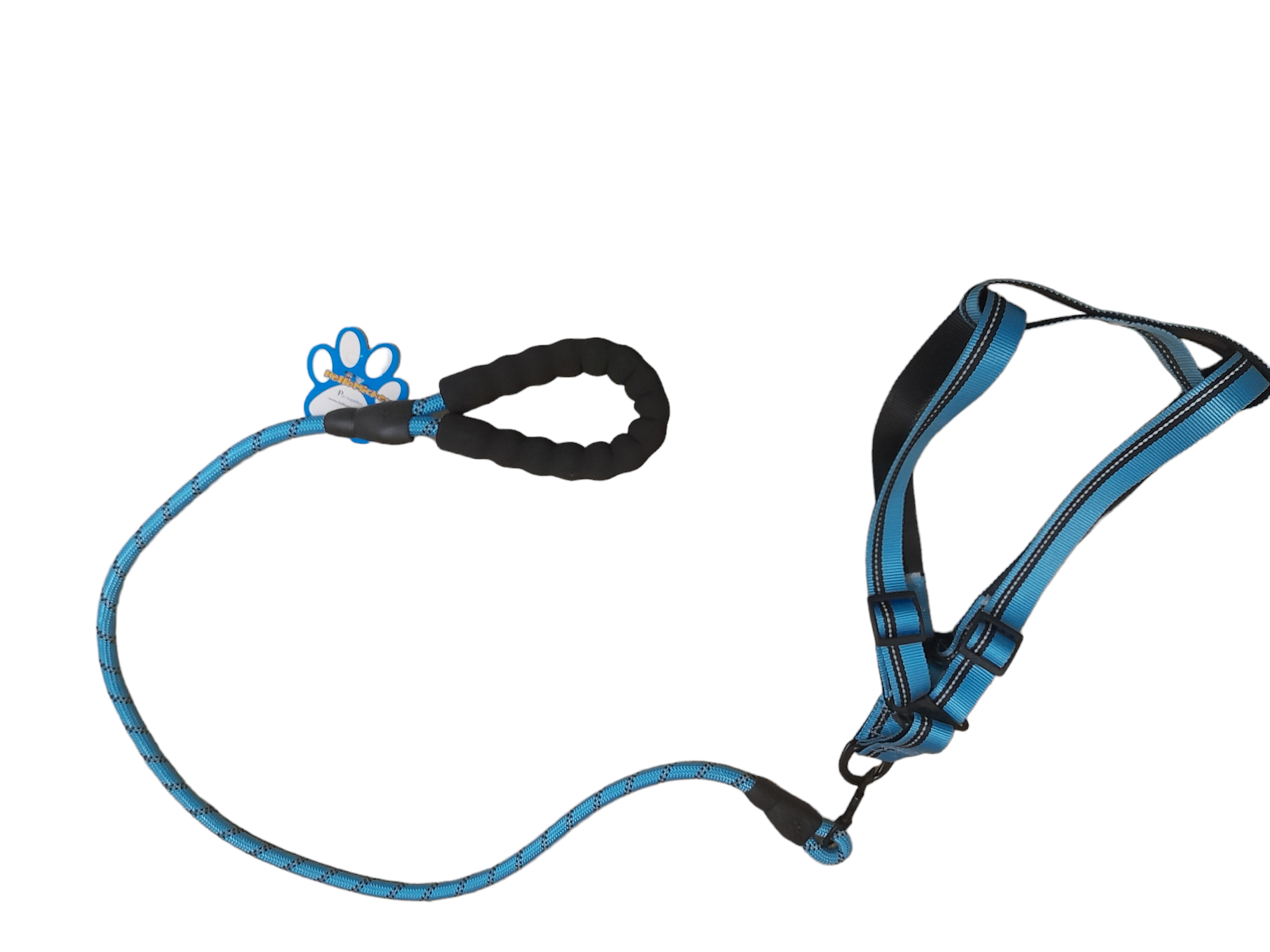 Dog leash + harness