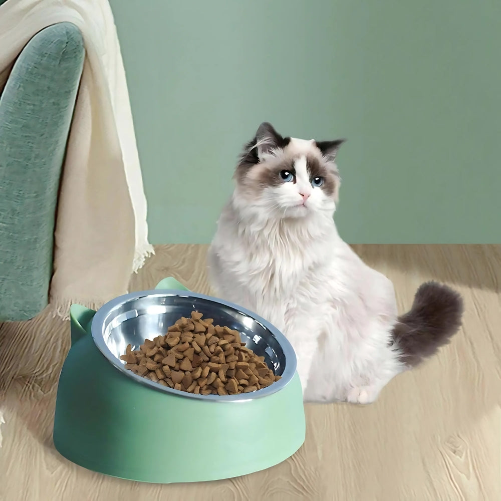 Pet Feeding Bowl