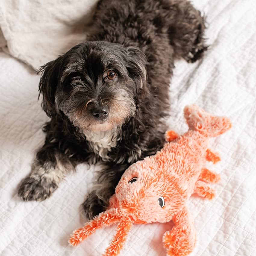 45% OFF🔥Floppy Lobster Interactive Dog Toy