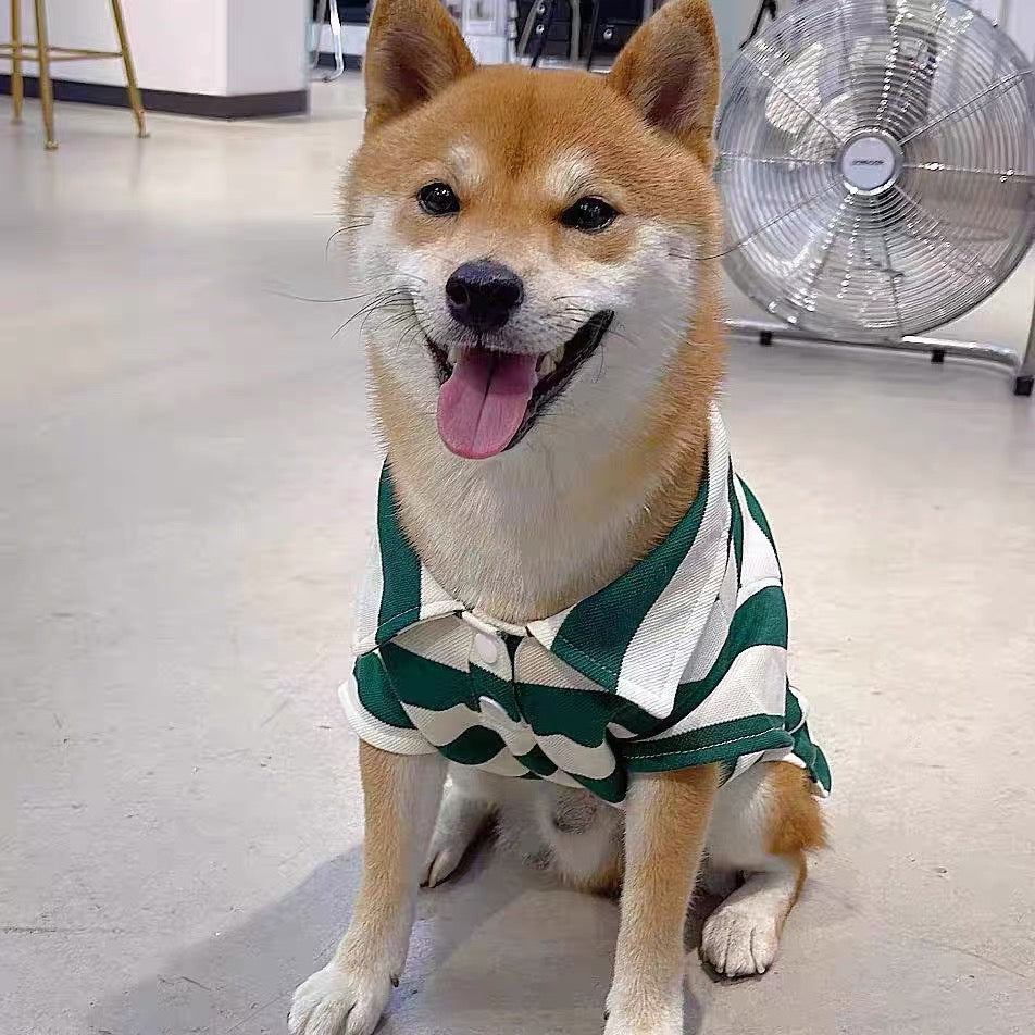 Striped Buttoned Dog Cat Polo Tee