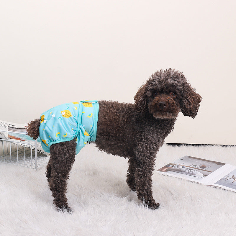 Fruit Printed Reusable Dog Cat Diaper Pants