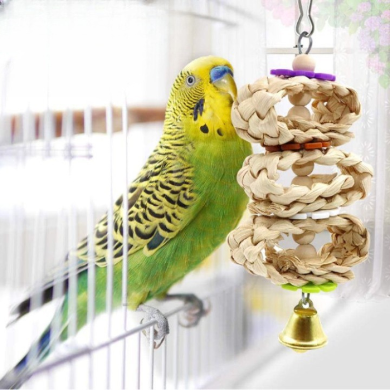 Set Of Chewing Toys For Birds