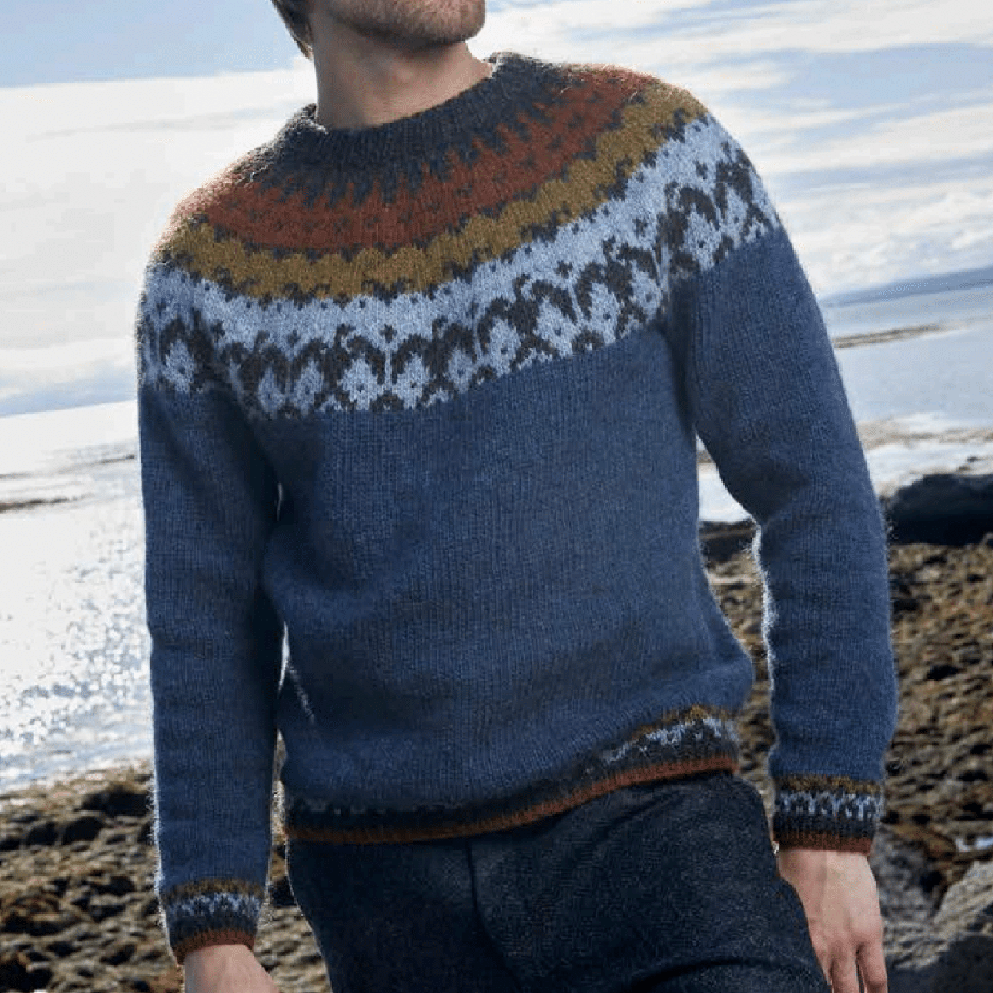 Men's Vintage Knitted Jacquard Crew Neck Sweater