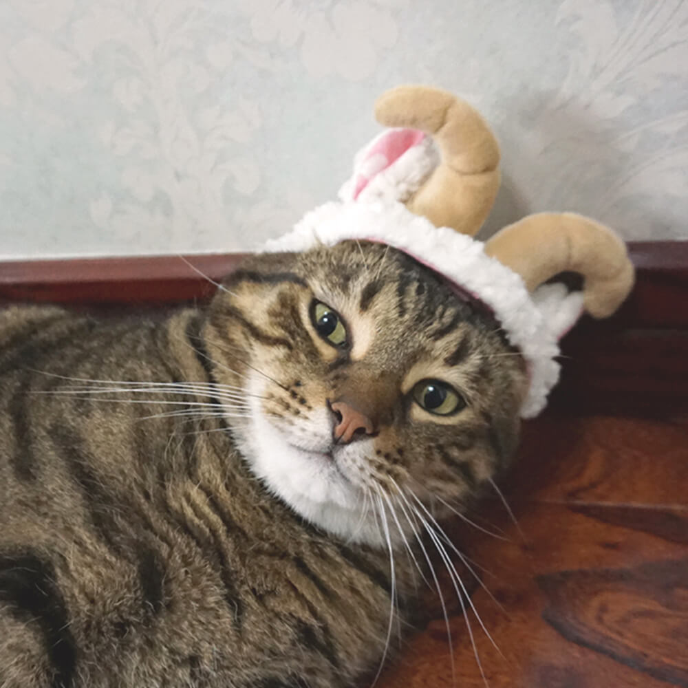 Christmas Halloween Decoration Funny Pet Hat Headgear