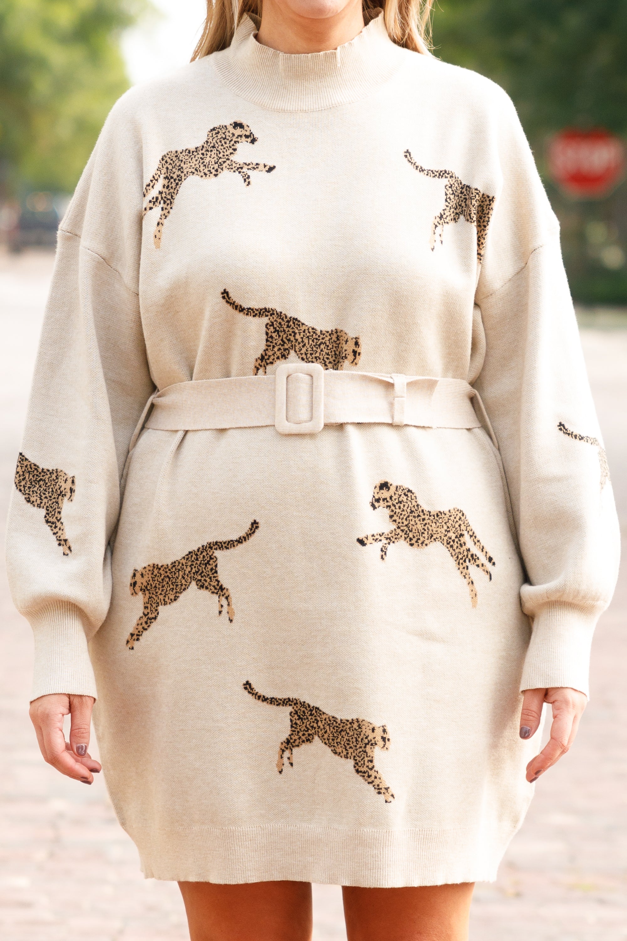 So Fierce Sweater Dress. Oatmeal