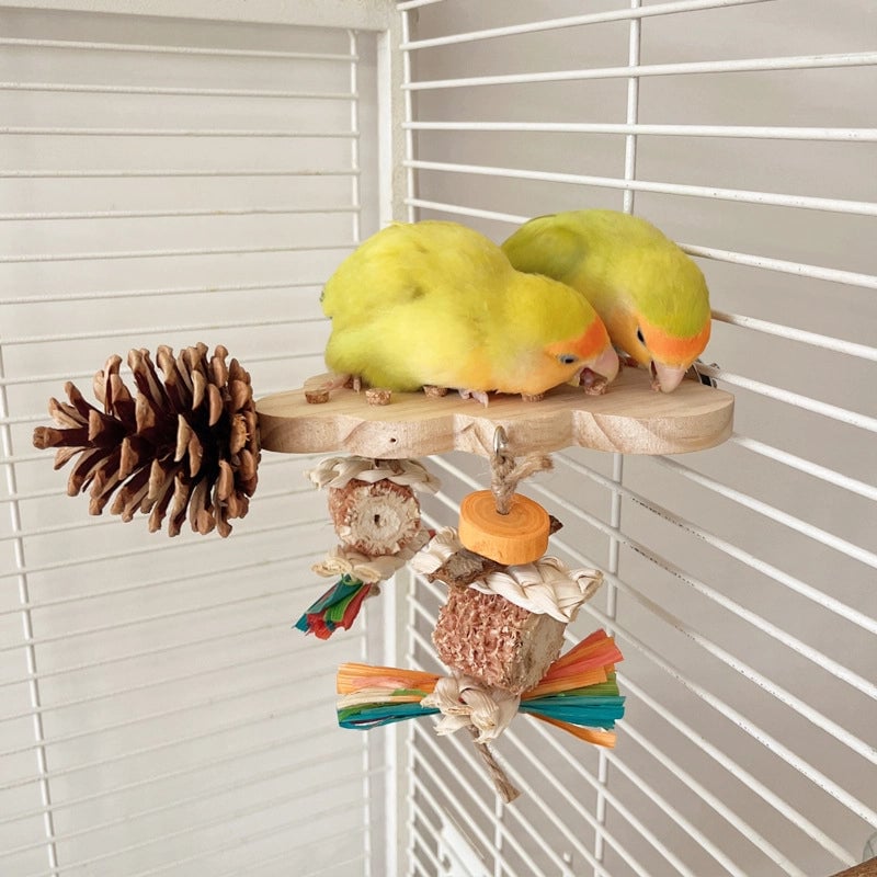 Parrot Toy Plug-out Platform Relief Entertainment Peony Xuanfeng Bird Toy Grinding Mouth Wooden Pine Nut Nibbling String Combination