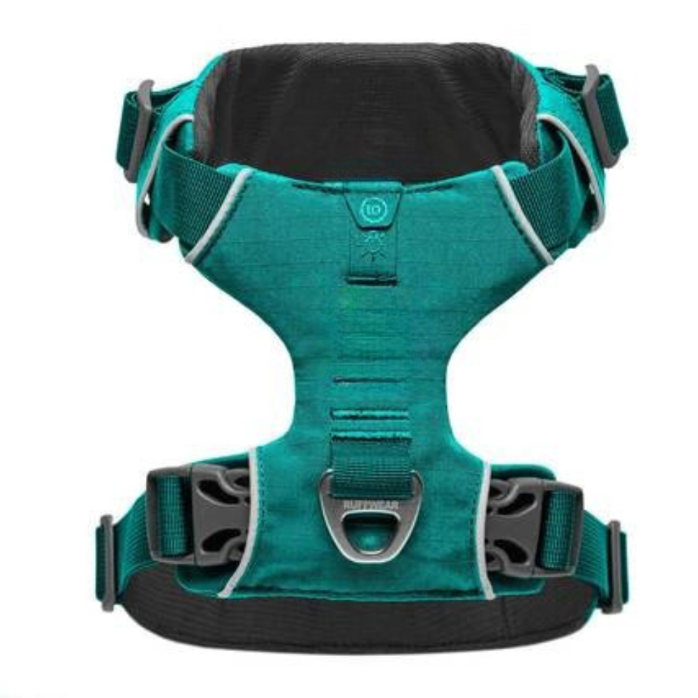 Adjustable Adventure Dog Harness For Outdoor Walking