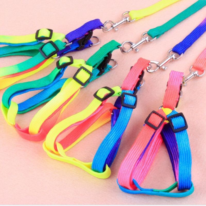 Small Pet Dog Multicolor Leash