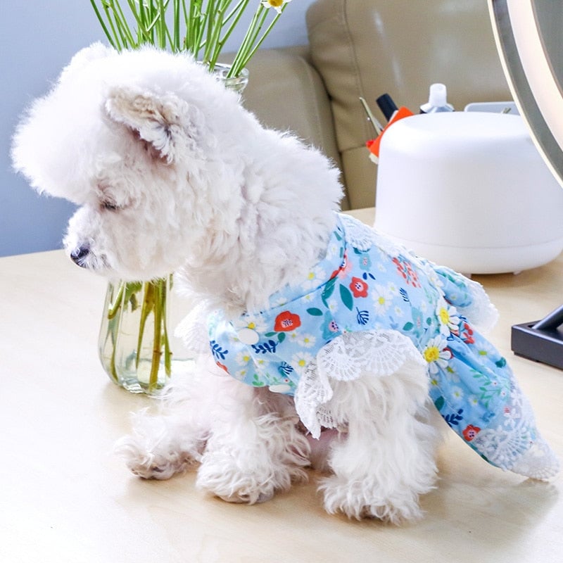 Floral Lace Design Dog Cat Dress