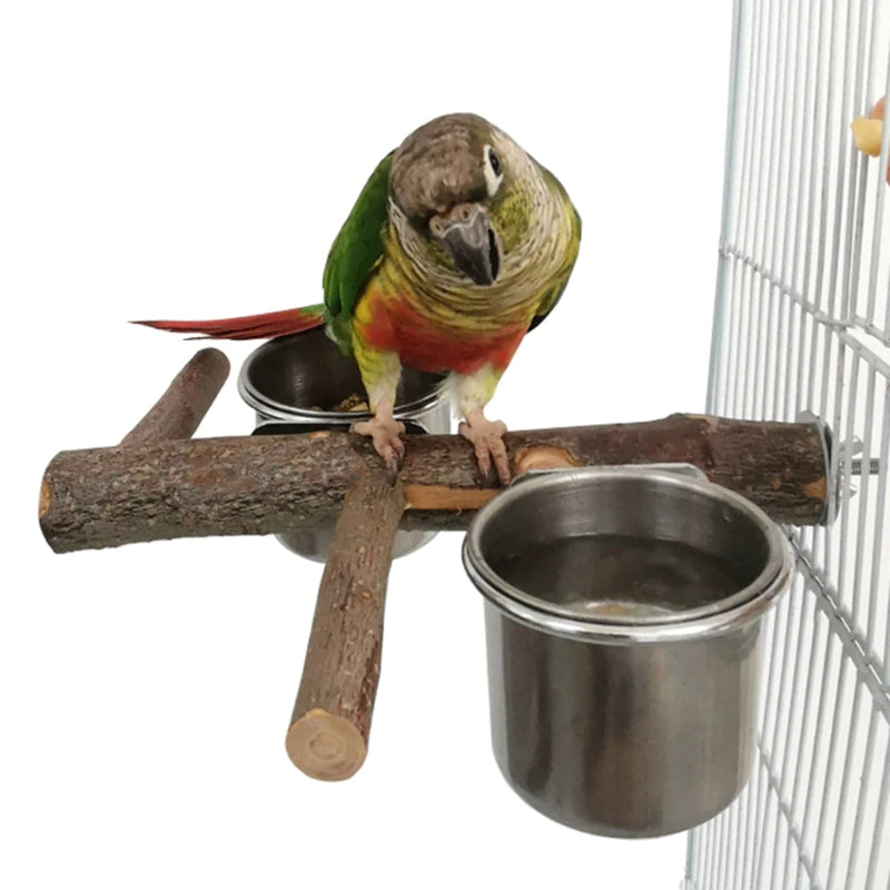 Bird Perch Tree Wood Stand With Stainless Steel Feeding Cups