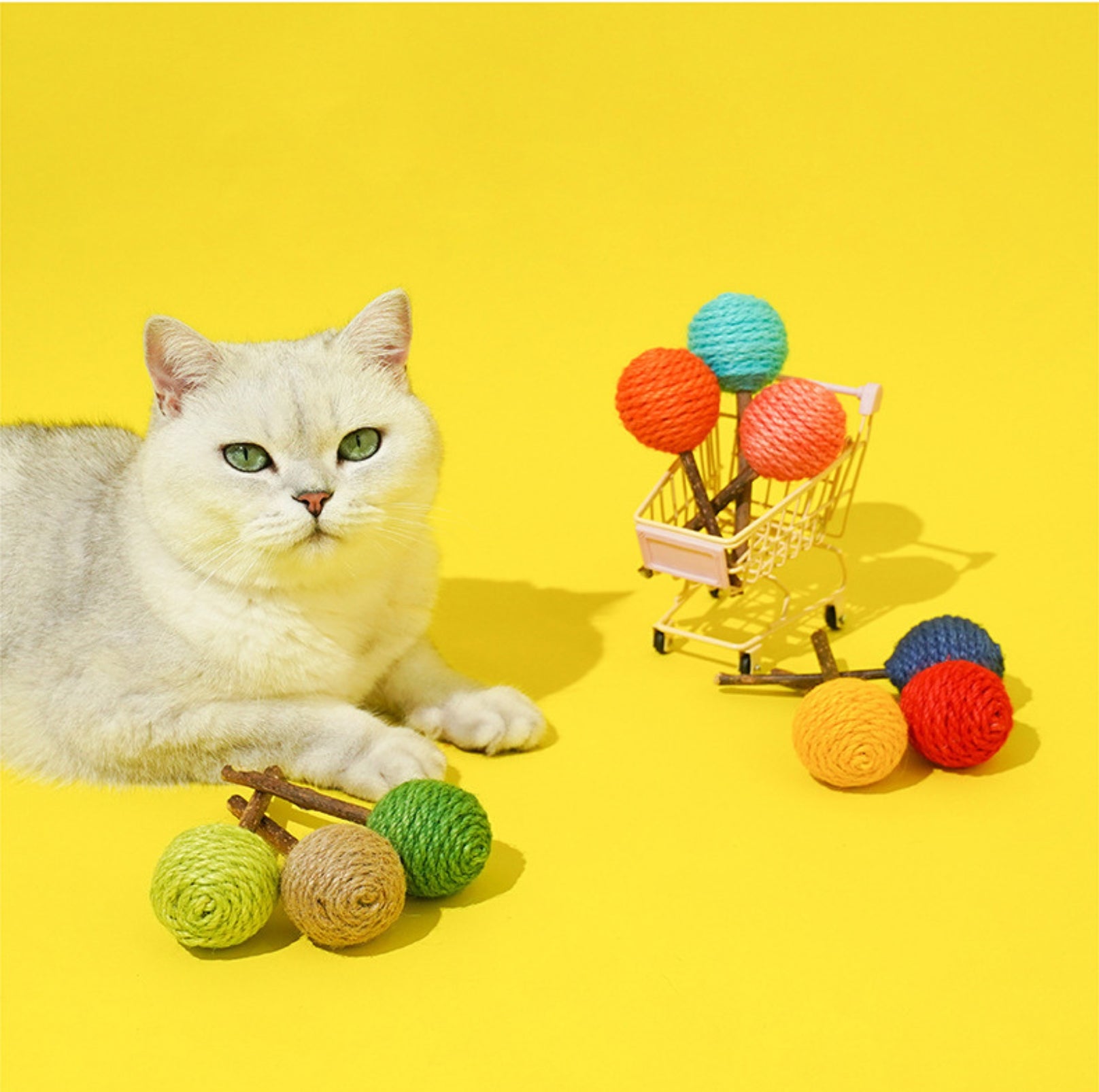 Lollipop-Shaped Polygonum Cat Toy Set (3 Pieces)