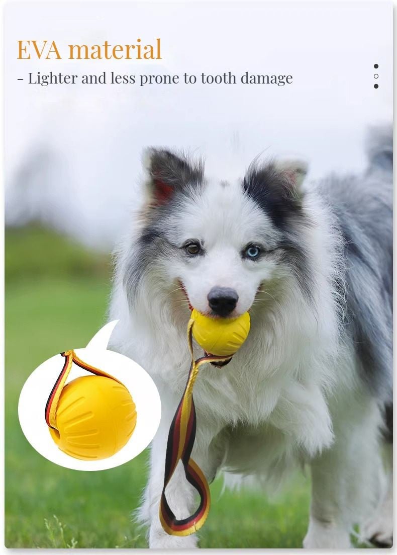 Outdoor dog toy set - Frisbee. ring. and small ball