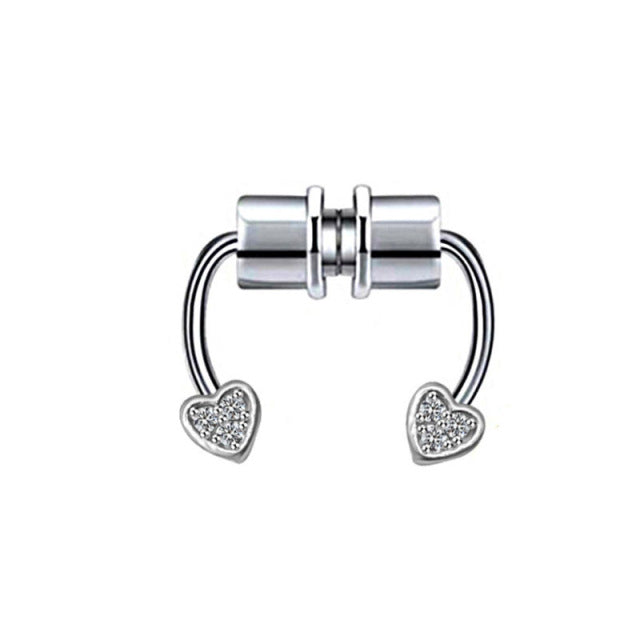Magnet Septum Ring