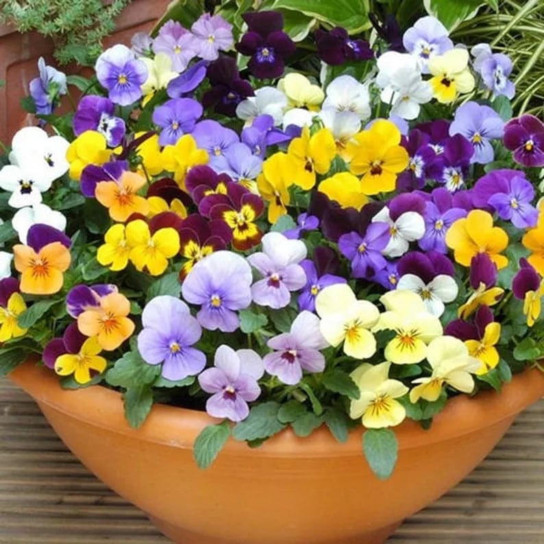 💐Outdoor Artificial Pansy Flowers