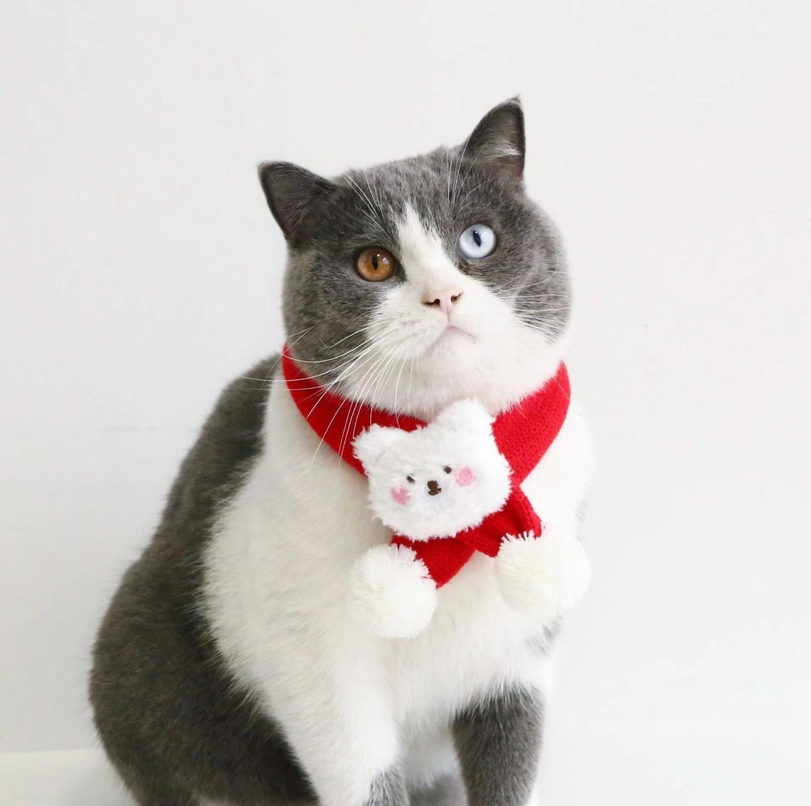 Red Knitted Wool Cartoon Scarfs For Cats and Dogs