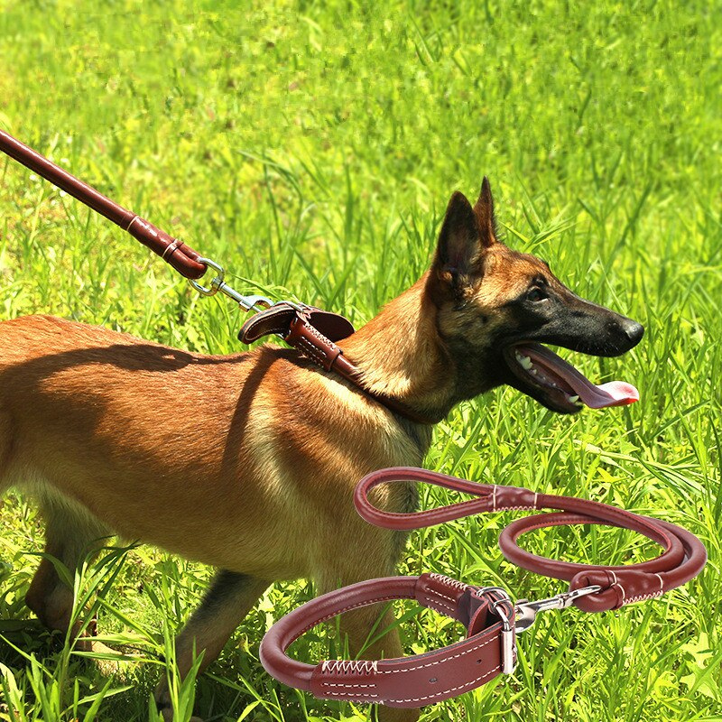 Leather Dog Collar And Leash Set