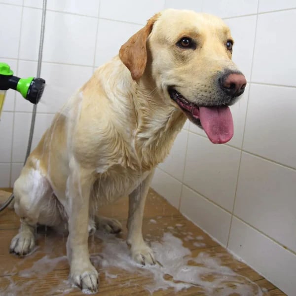 The Pup Jet Garden Watering Jet