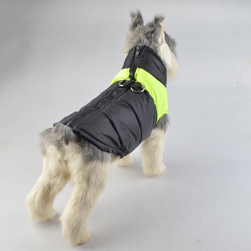 Dog Winter Warm Clothes Zipper Dog Vest🔥BUY 2 FREE SHIPPING