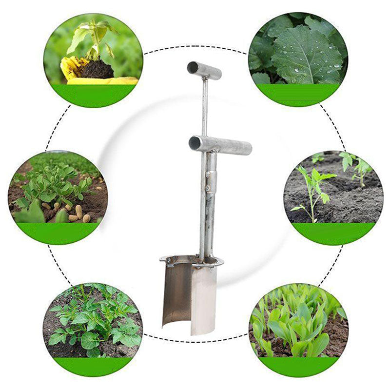 Plant and fruit tree seedling transplanter