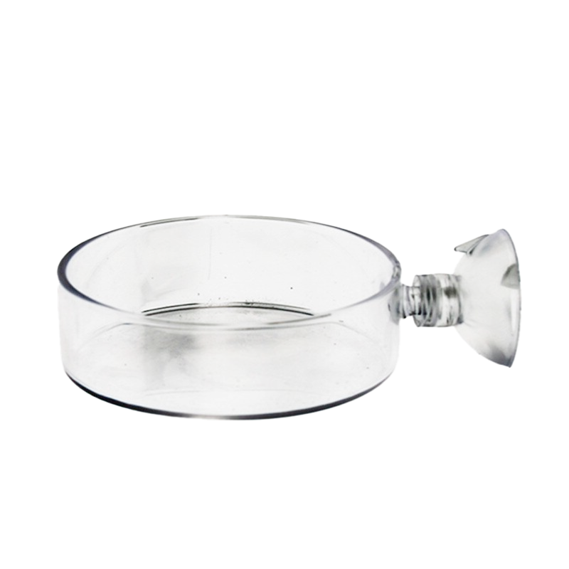 Aquarium Shrimp Glass Feeding Bowl