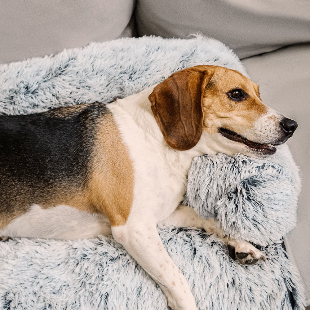 Calming Furniture Protector Dog Bed - Fuzzy Backrest