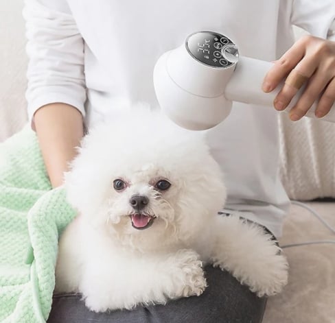 Noise-wide hairdryer for pets with slicker brush