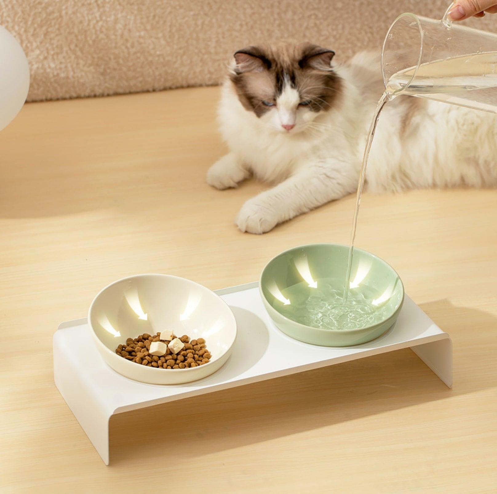 Adjustable Ceramic Pet Bowl with Arch Iron Stand