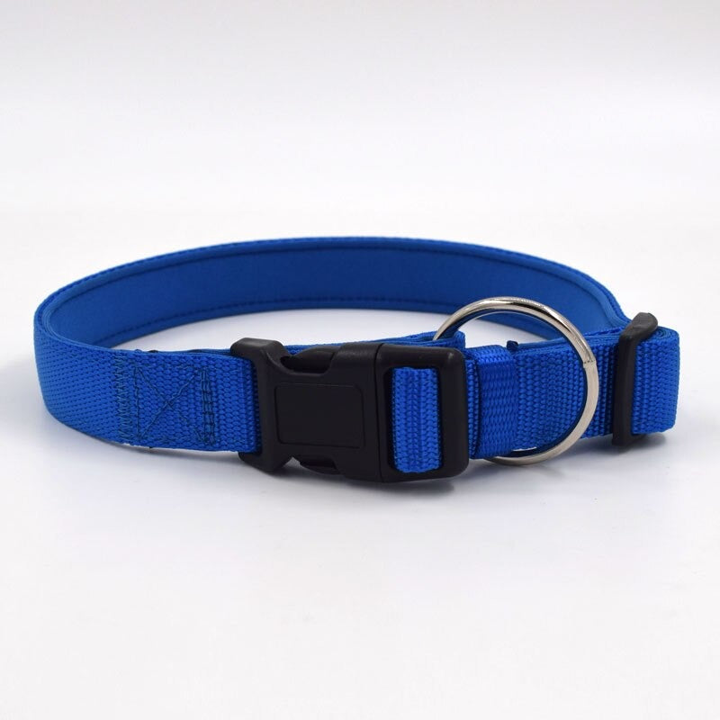 Large Dog Collar