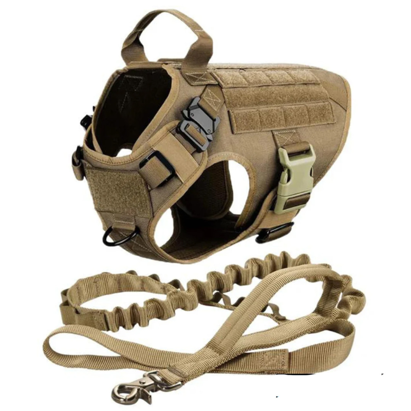 Dog Harness With D Rings