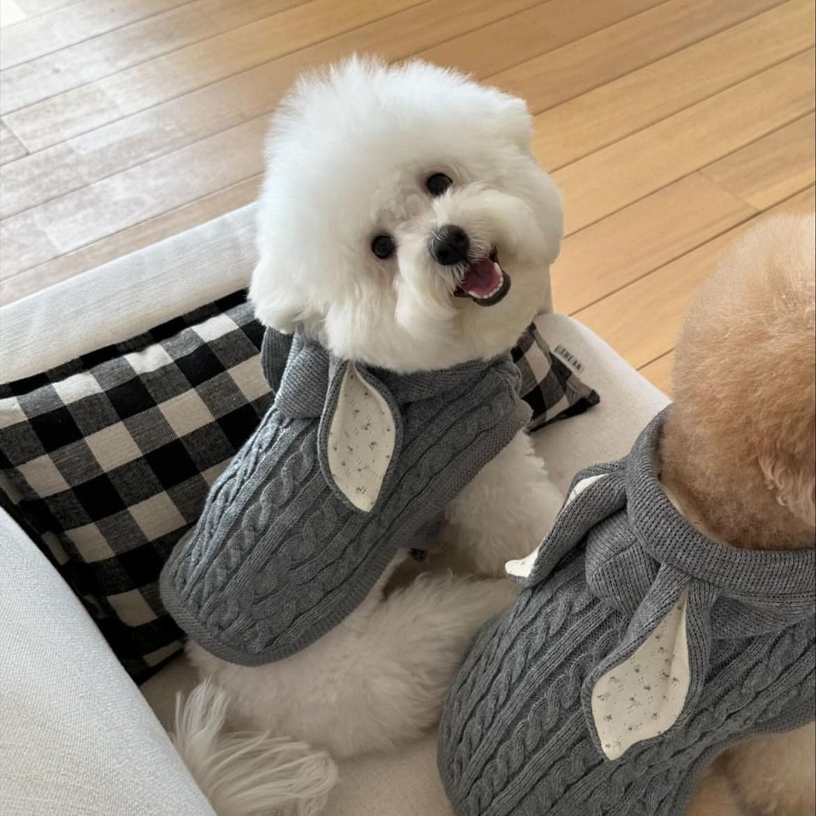 Warm Knitted Rabbit Ear Shaped Dog Cat Sweater