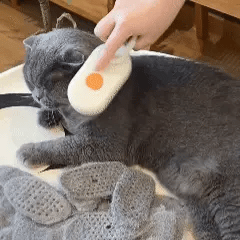 4 in 1 Cat Steam Brush for Shedding