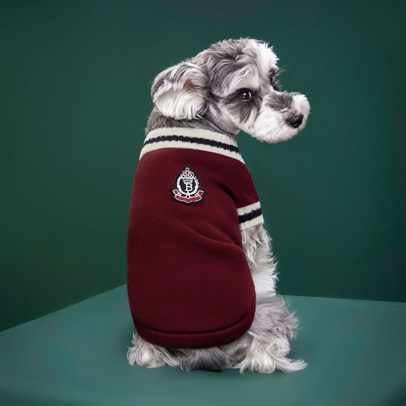 Autumn And Winter New Knitted Vest Pet Clothes V-neck College Style Vest Teddy Bomei Fashion Dog Clothes