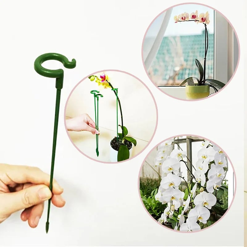 🔥 BIG SALE - 49% OFF Plant Support Stake