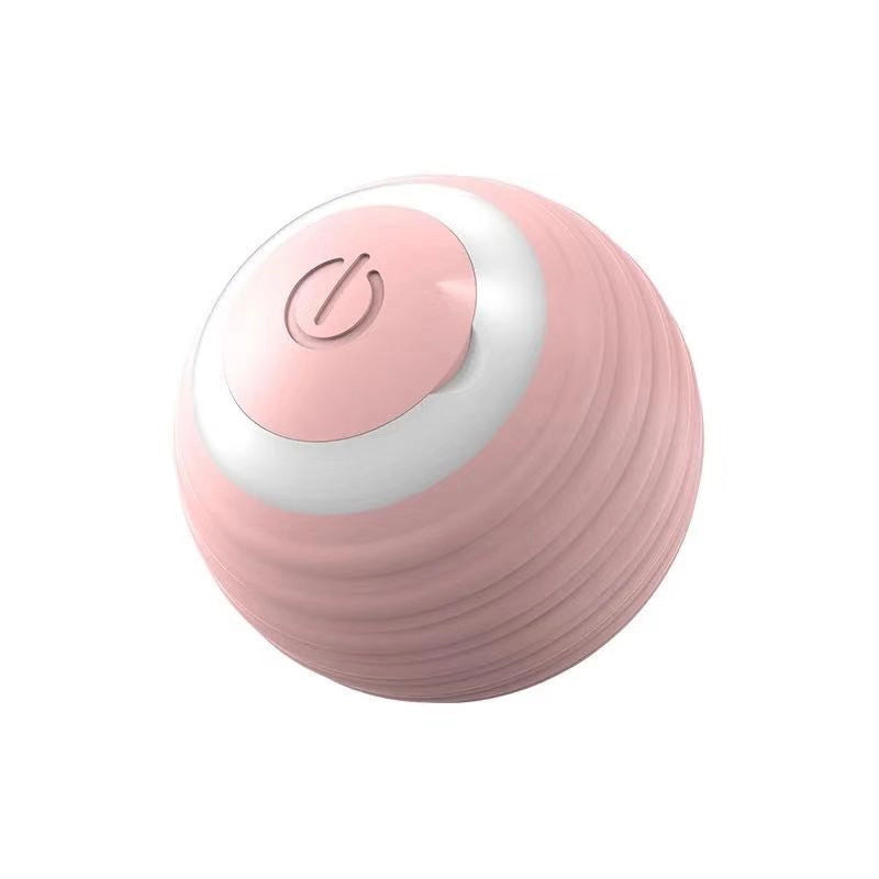 Minimalist Silica Gel Solid Color Pet Toys