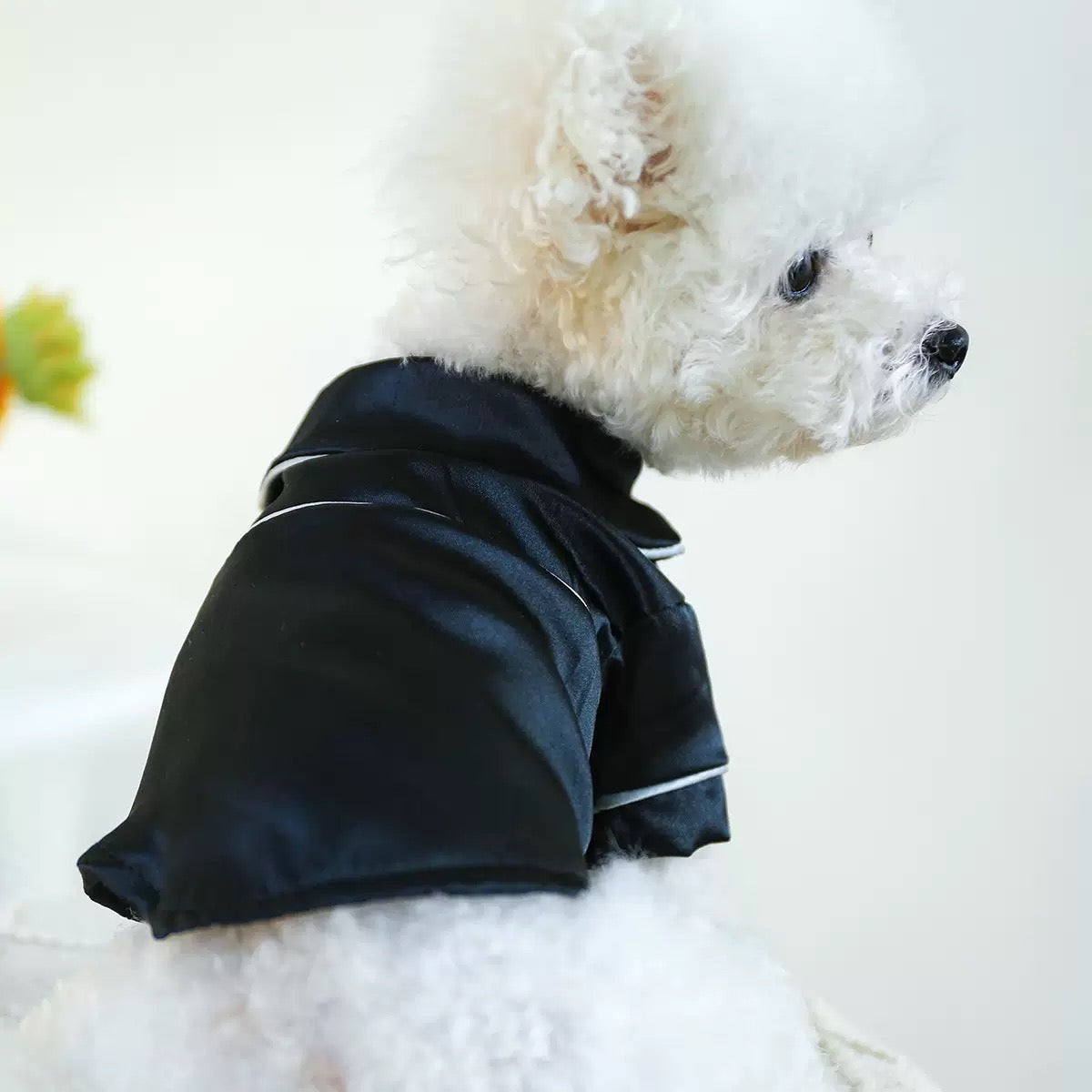 Soft Silk Dog Cat Pajamas