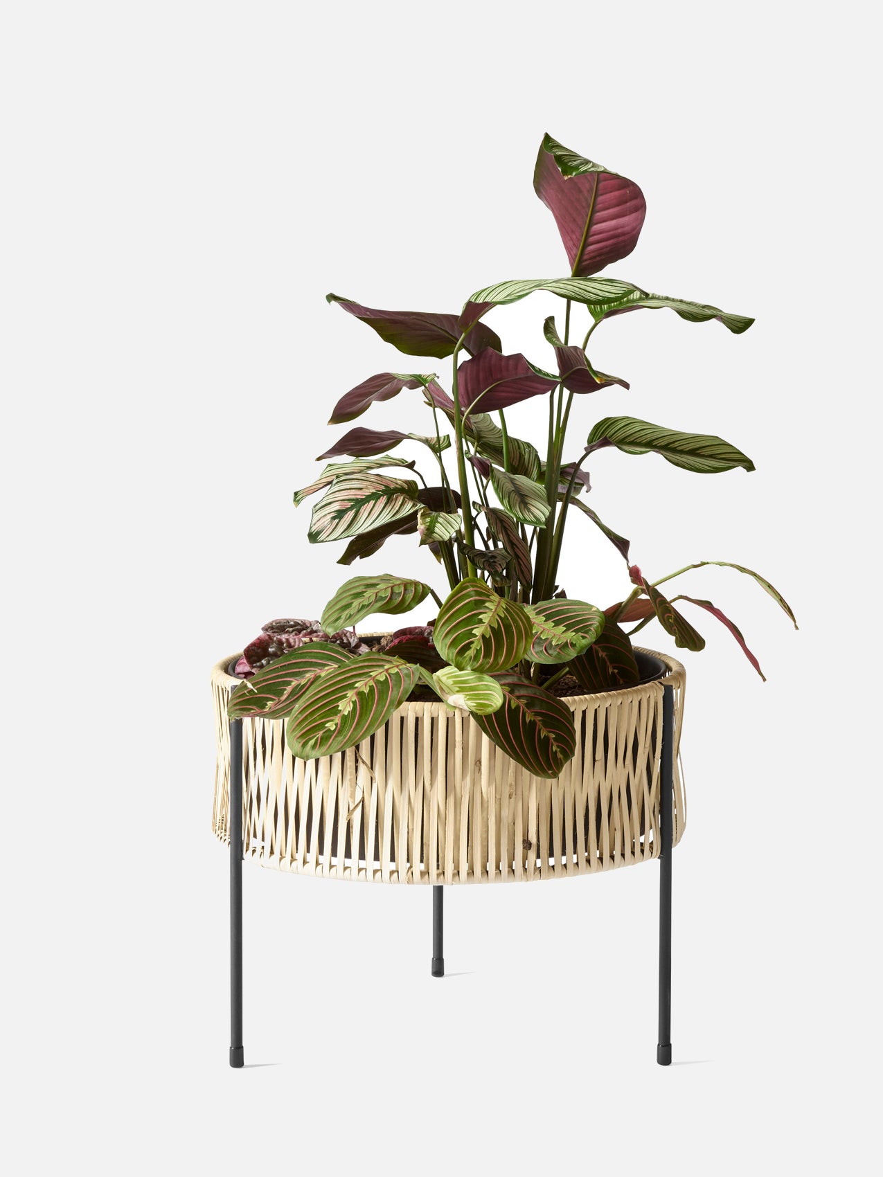 Umanoff Planter