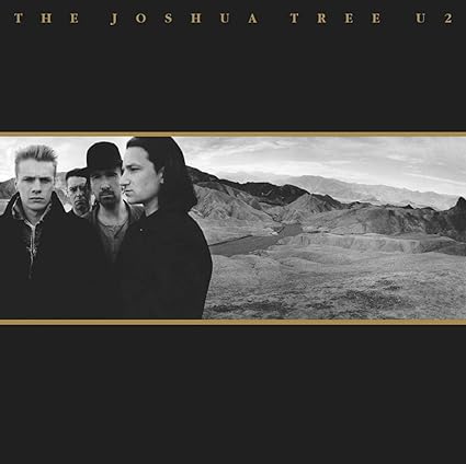 U2 -The Joshua Tree Double vinyl