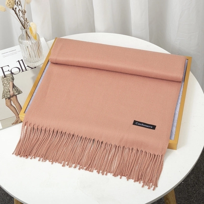 Women's Minimalist Solid Color Imitation Cashmere Tassel Scarf