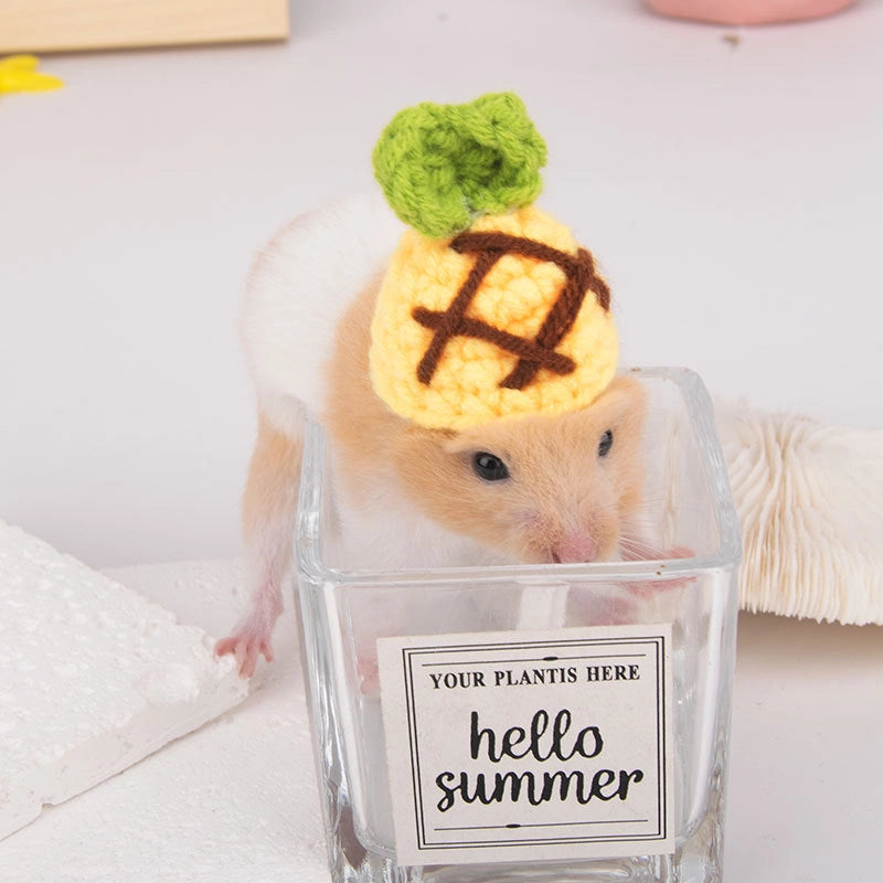Hamster Hat Parrot Hair Band Photo Small Animal Headdress Handmade Frog Hat Ornaments Hedgehog Headgear Explosions