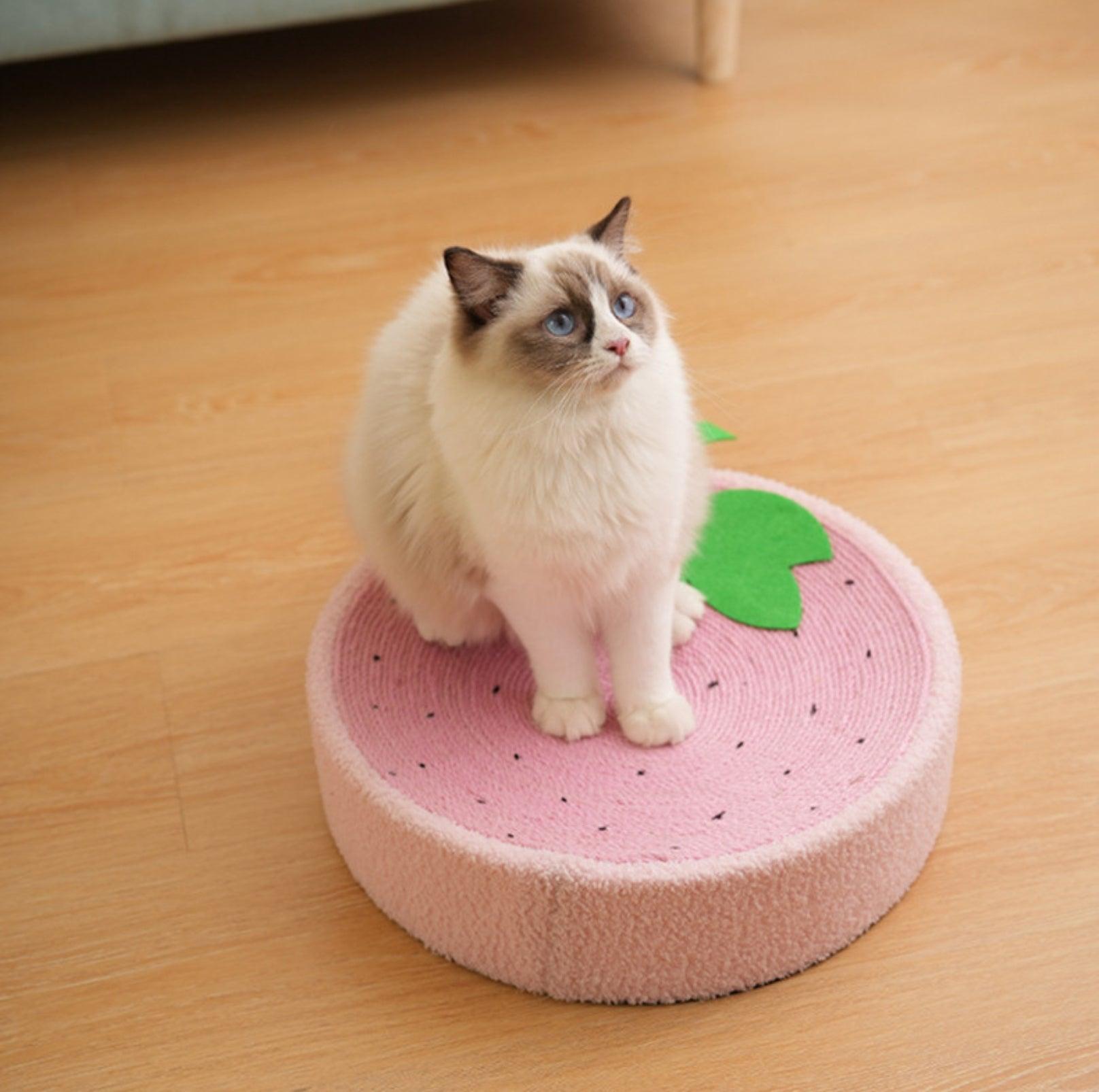 Fruit-Design Sisal Cat Scratcher