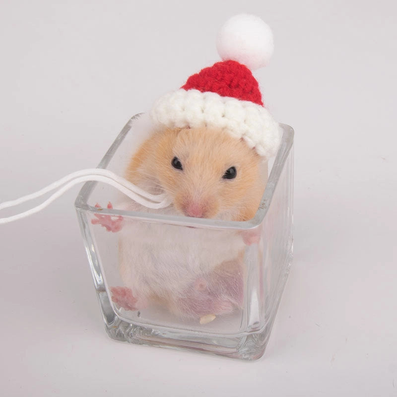 Hamster Hat Parrot Hair Band Photo Small Animal Headdress Handmade Frog Hat Ornaments Hedgehog Headgear Explosions